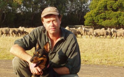 Livestock containment: building drought resilience with Cam Nicholson