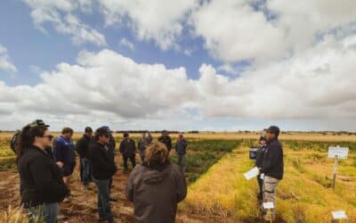 Eyre Peninsula internship in applied grains research (SAGIT co-funded)