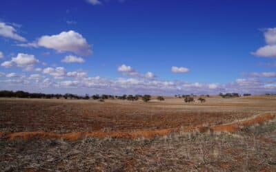 South Australian farmers urged to shape the future of climate resilience in agriculture
