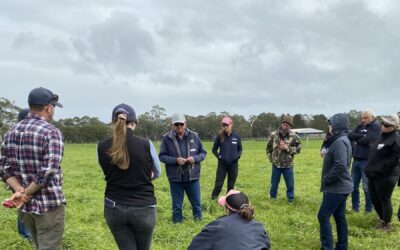 Filling feed gaps: best practice hay and silage production